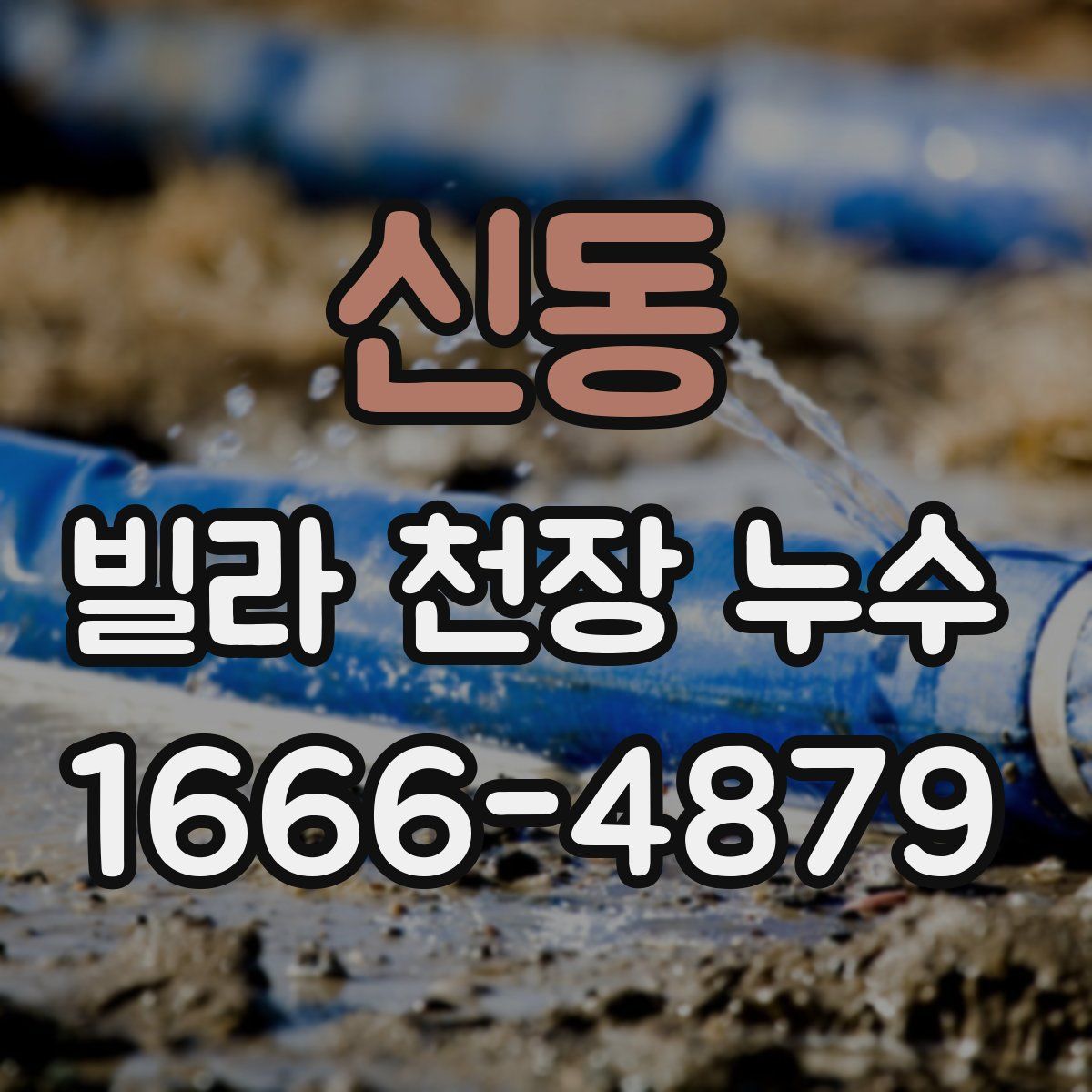 신동 빌라 천장 누수