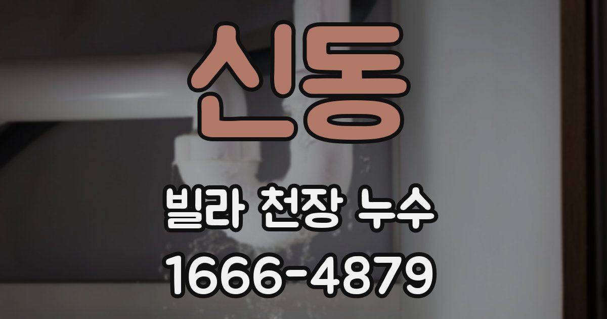 신동 빌라 천장 누수