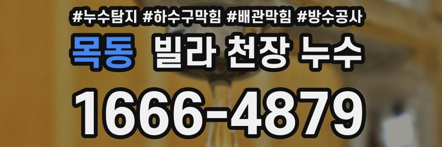 목동 빌라 천장 누수
