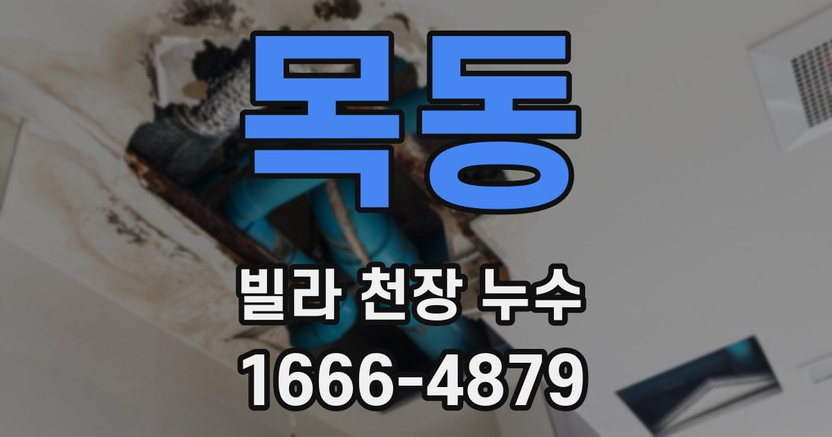 목동 빌라 천장 누수