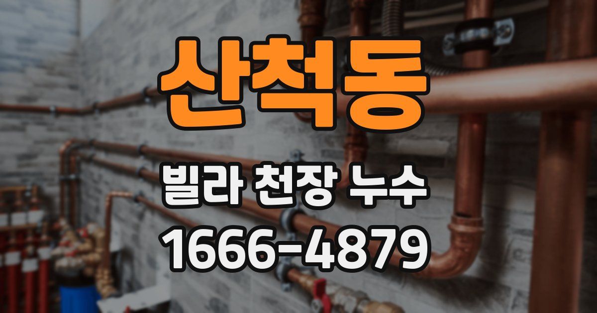 산척동 빌라 천장 누수