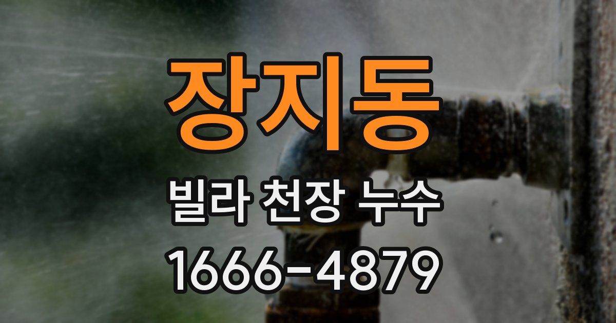 장지동 빌라 천장 누수