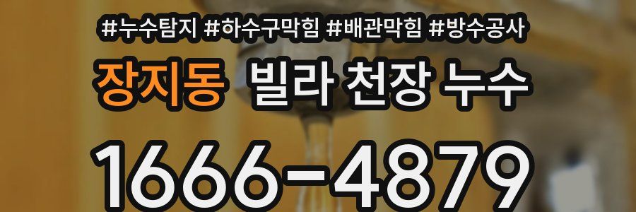 장지동 빌라 천장 누수