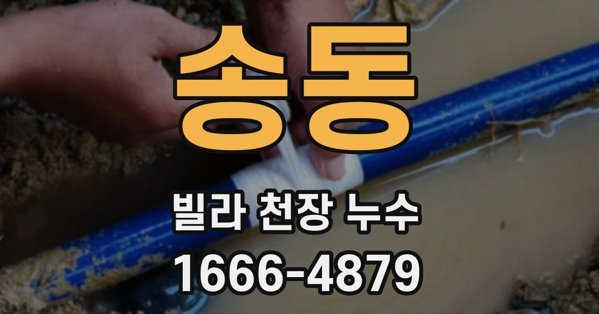 송동 빌라 천장 누수