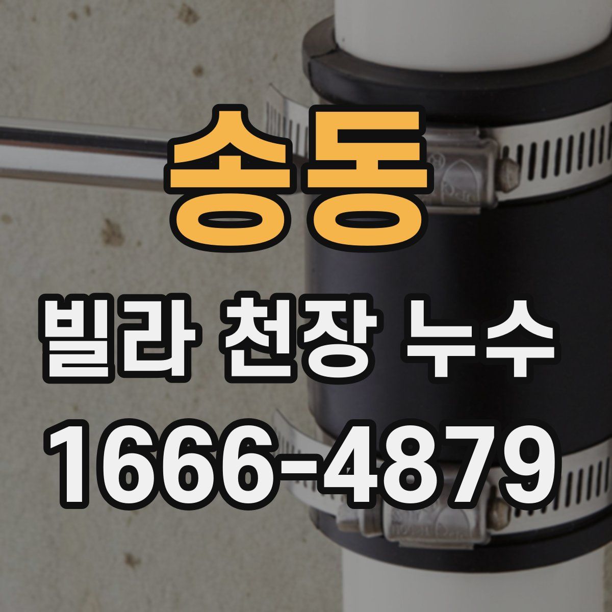 송동 빌라 천장 누수