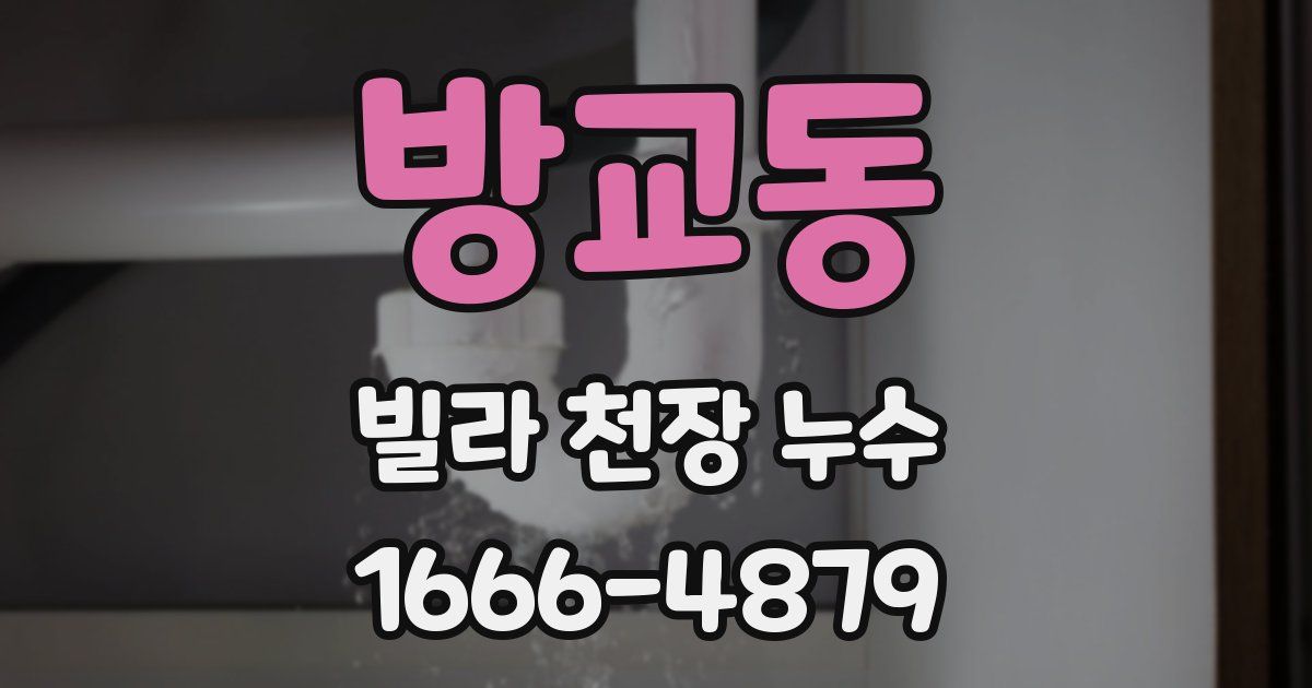 방교동 빌라 천장 누수