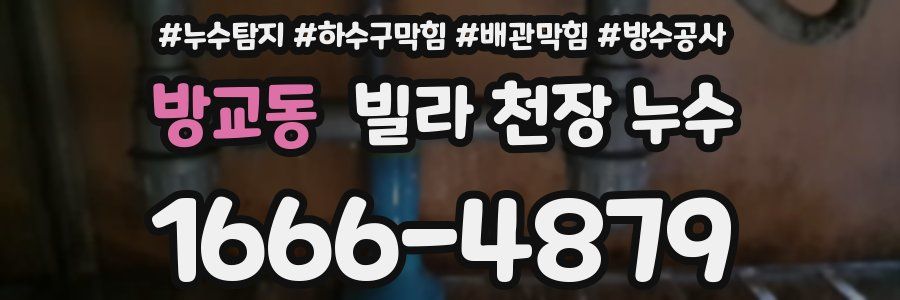 방교동 빌라 천장 누수