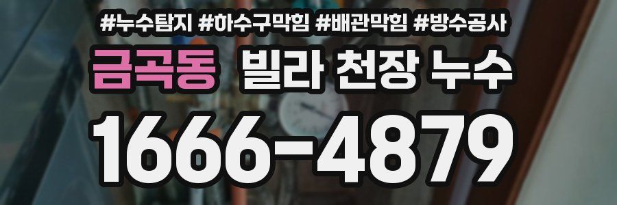 금곡동 빌라 천장 누수