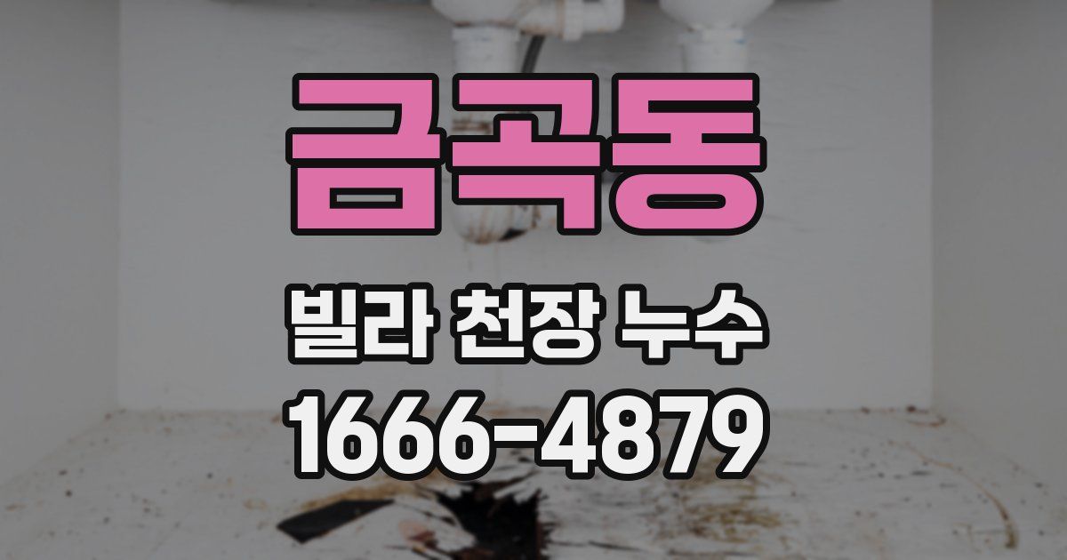 금곡동 빌라 천장 누수