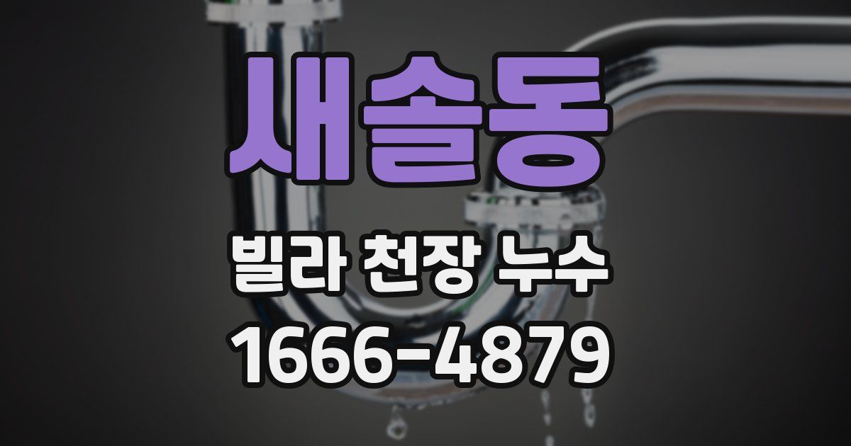 새솔동 빌라 천장 누수