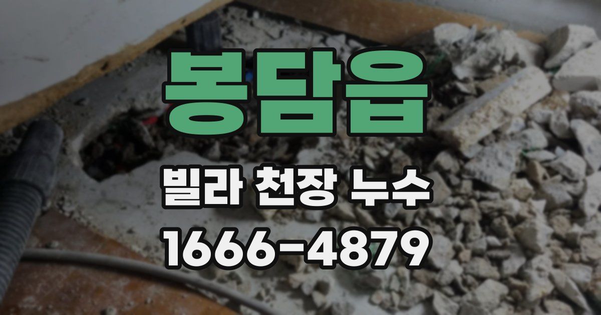 봉담읍 빌라 천장 누수