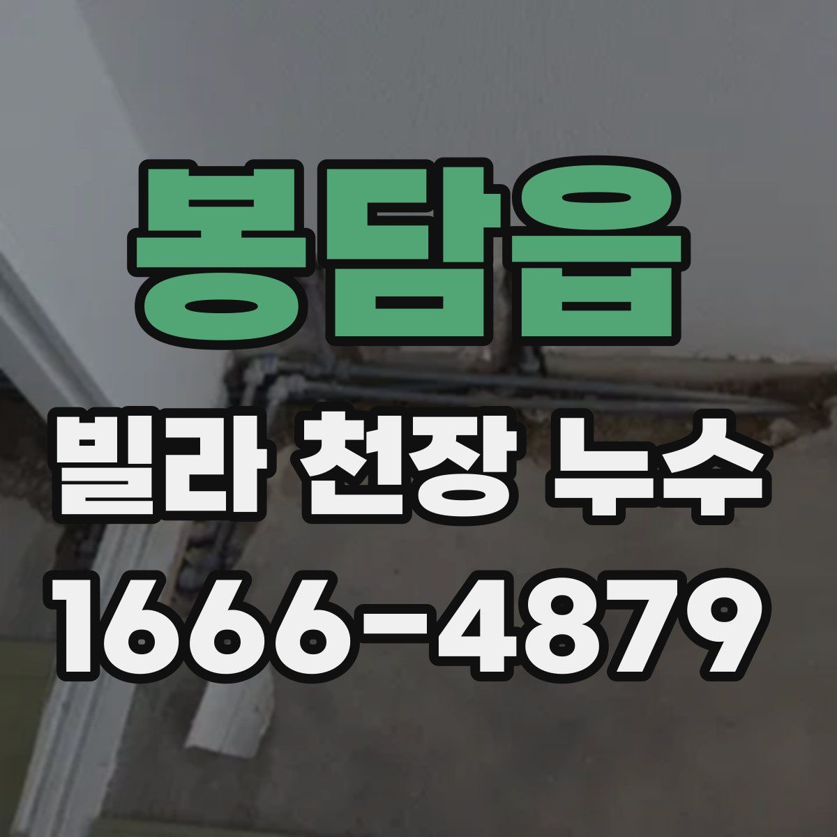봉담읍 빌라 천장 누수