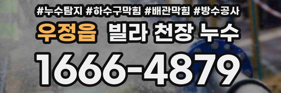 우정읍 빌라 천장 누수