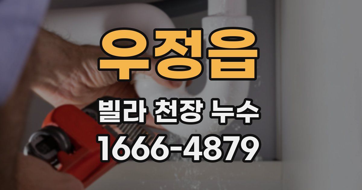 우정읍 빌라 천장 누수