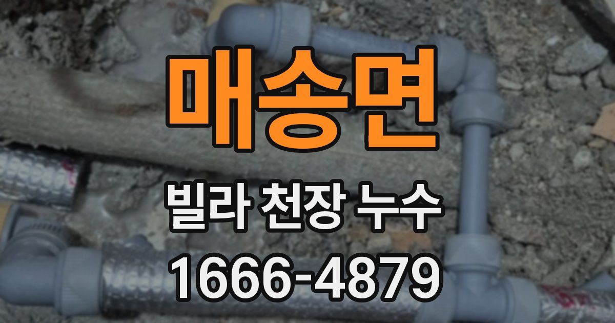 매송면 빌라 천장 누수