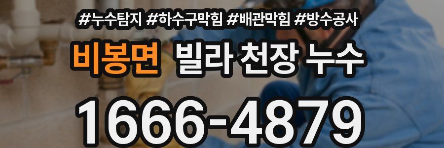 비봉면 빌라 천장 누수