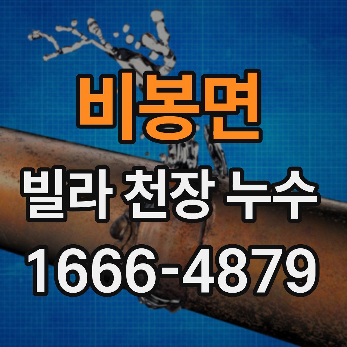 비봉면 빌라 천장 누수