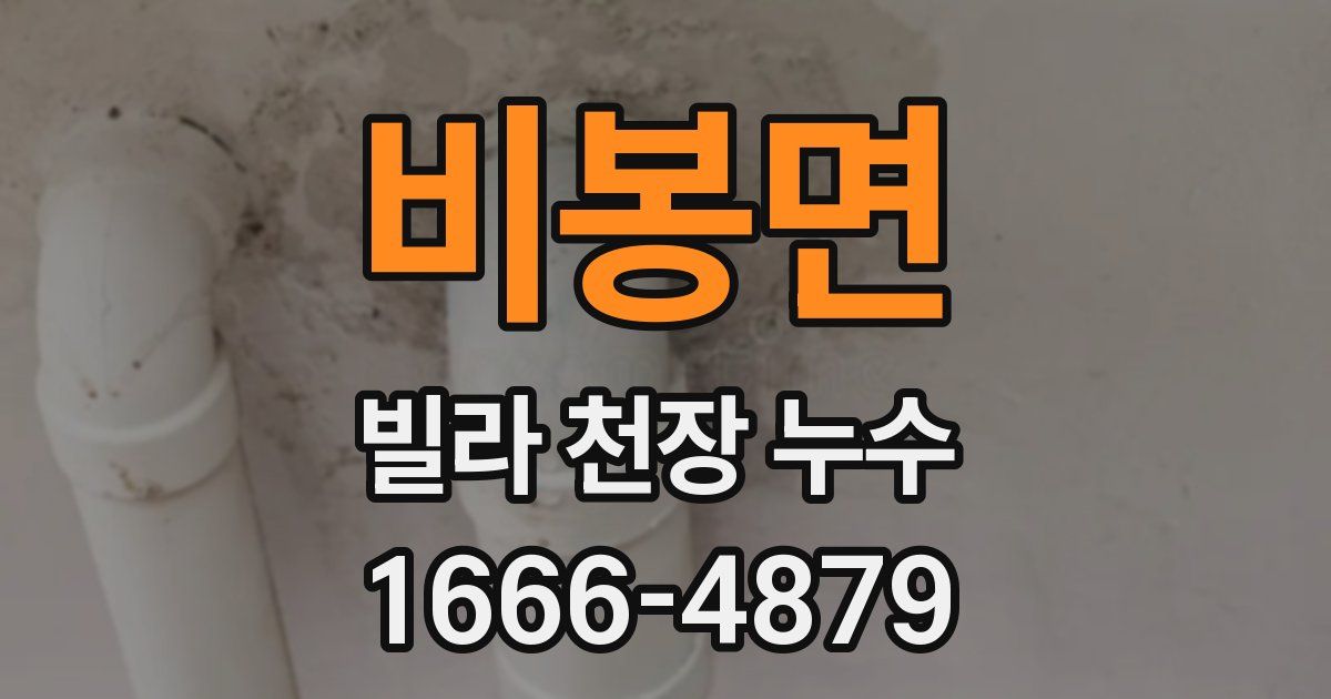 비봉면 빌라 천장 누수