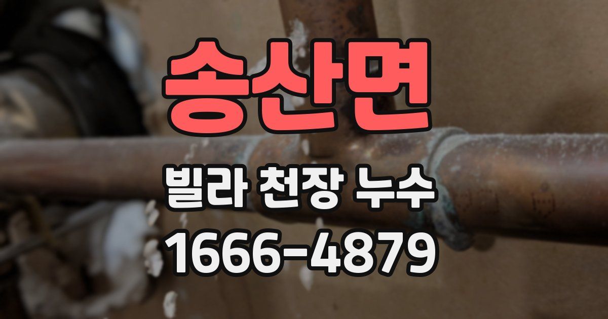 송산면 빌라 천장 누수