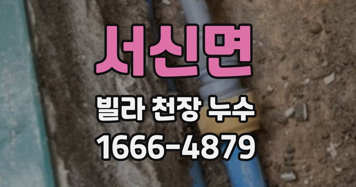 서신면 빌라 천장 누수