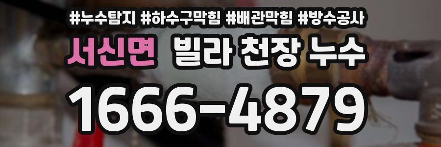 서신면 빌라 천장 누수