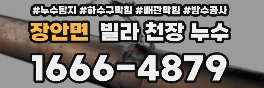 장안면 빌라 천장 누수
