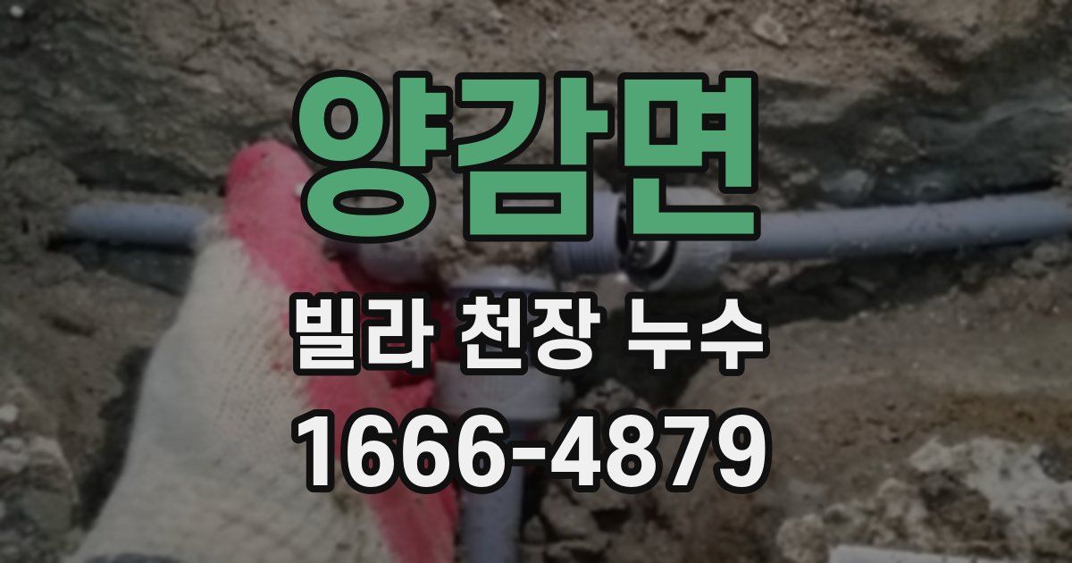 양감면 빌라 천장 누수