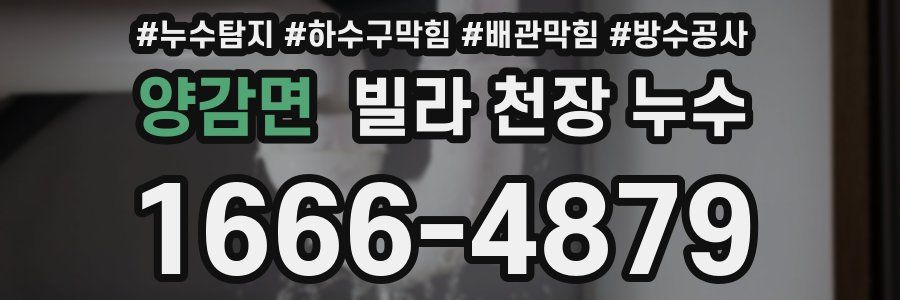 양감면 빌라 천장 누수