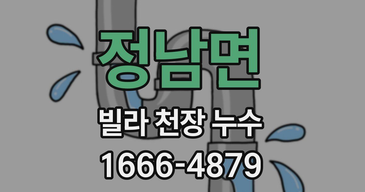정남면 빌라 천장 누수