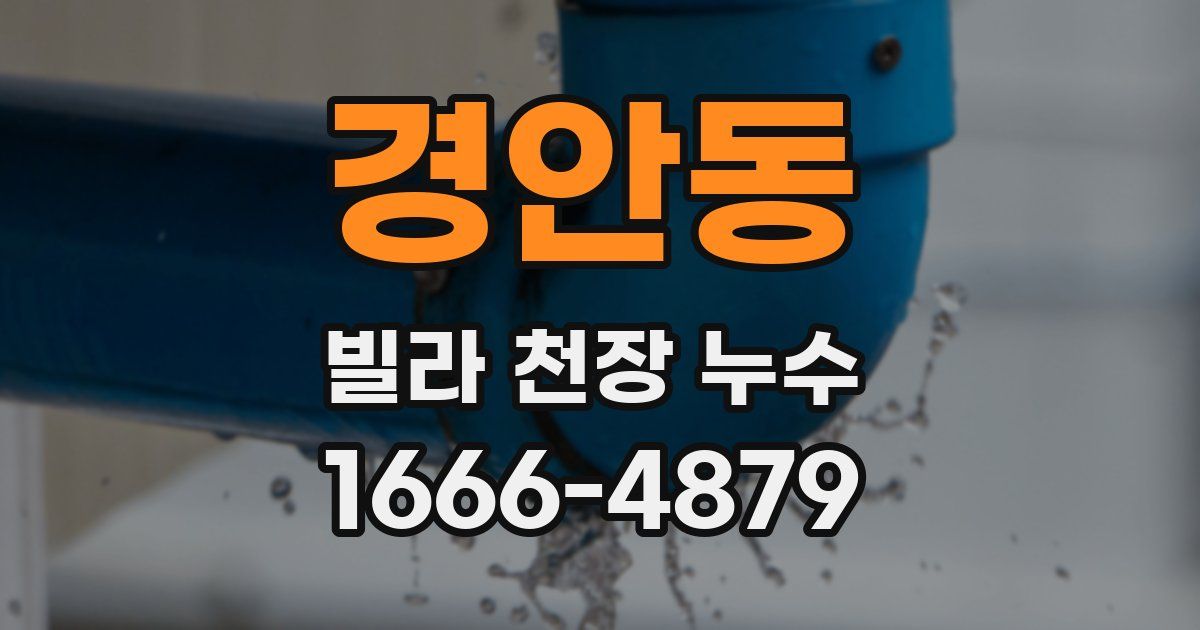 경안동 빌라 천장 누수