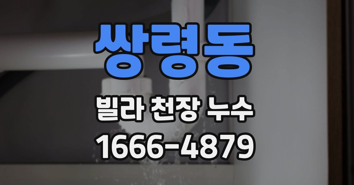 쌍령동 빌라 천장 누수