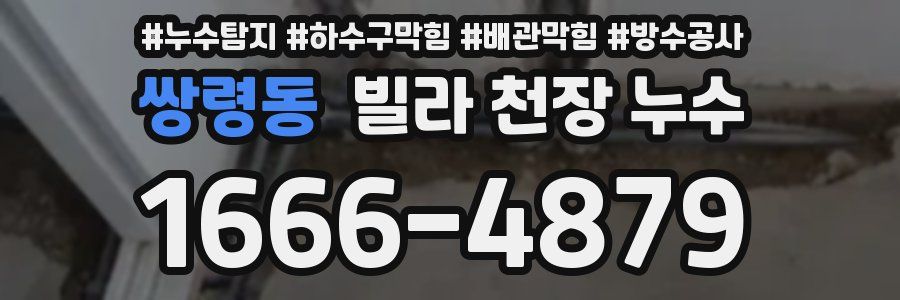 쌍령동 빌라 천장 누수