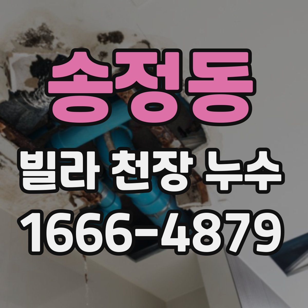송정동 빌라 천장 누수