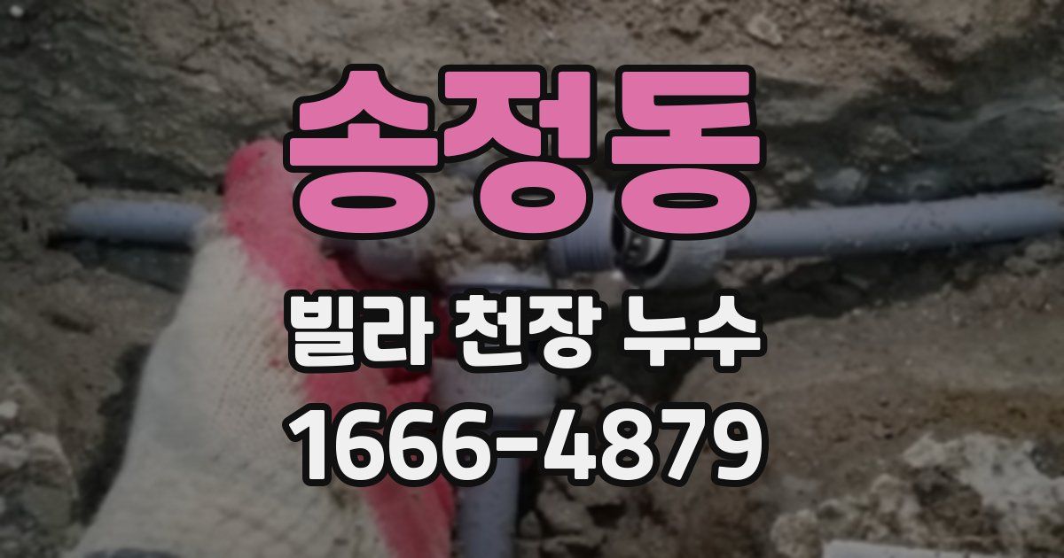 송정동 빌라 천장 누수