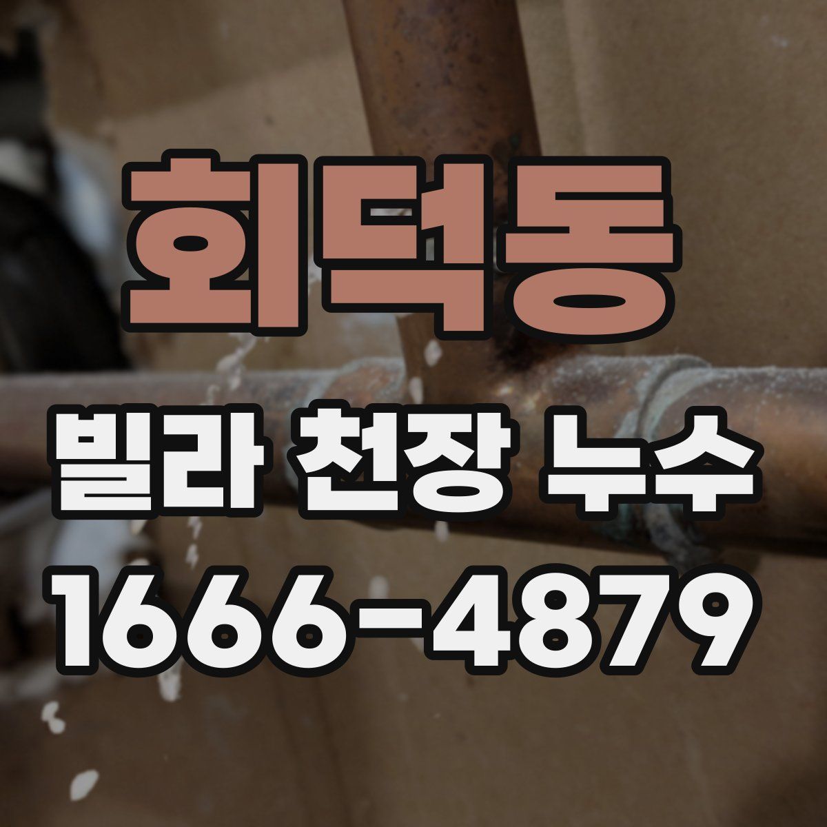 회덕동 빌라 천장 누수
