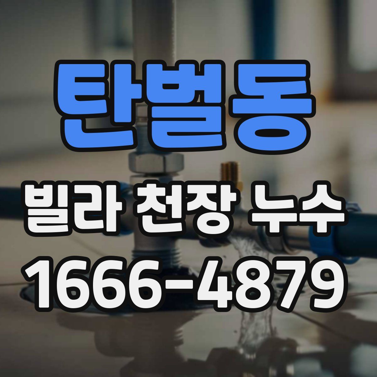 탄벌동 빌라 천장 누수