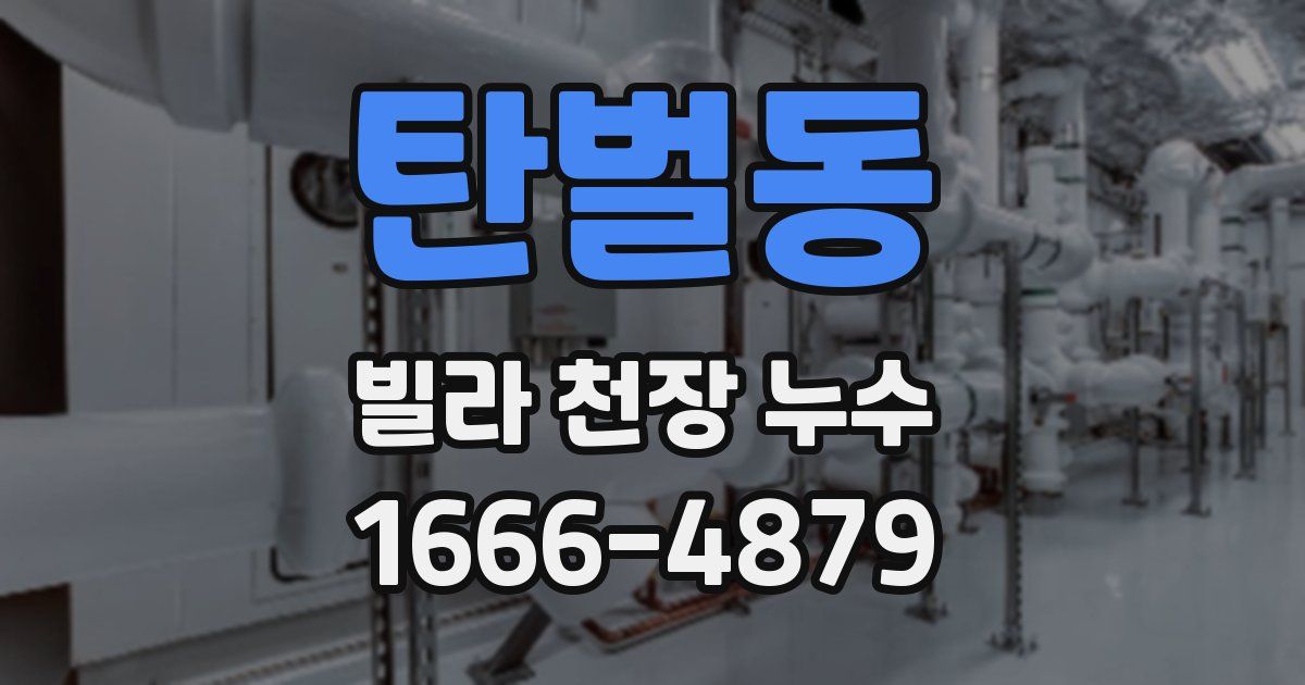 탄벌동 빌라 천장 누수