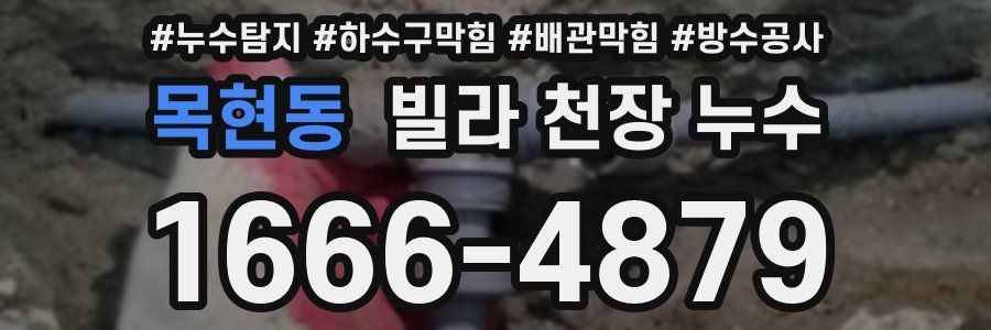 목현동 빌라 천장 누수