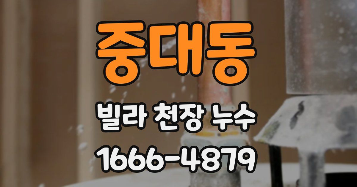 중대동 빌라 천장 누수