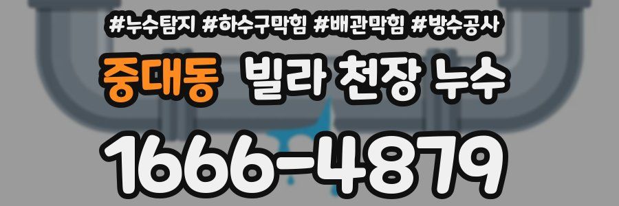 중대동 빌라 천장 누수