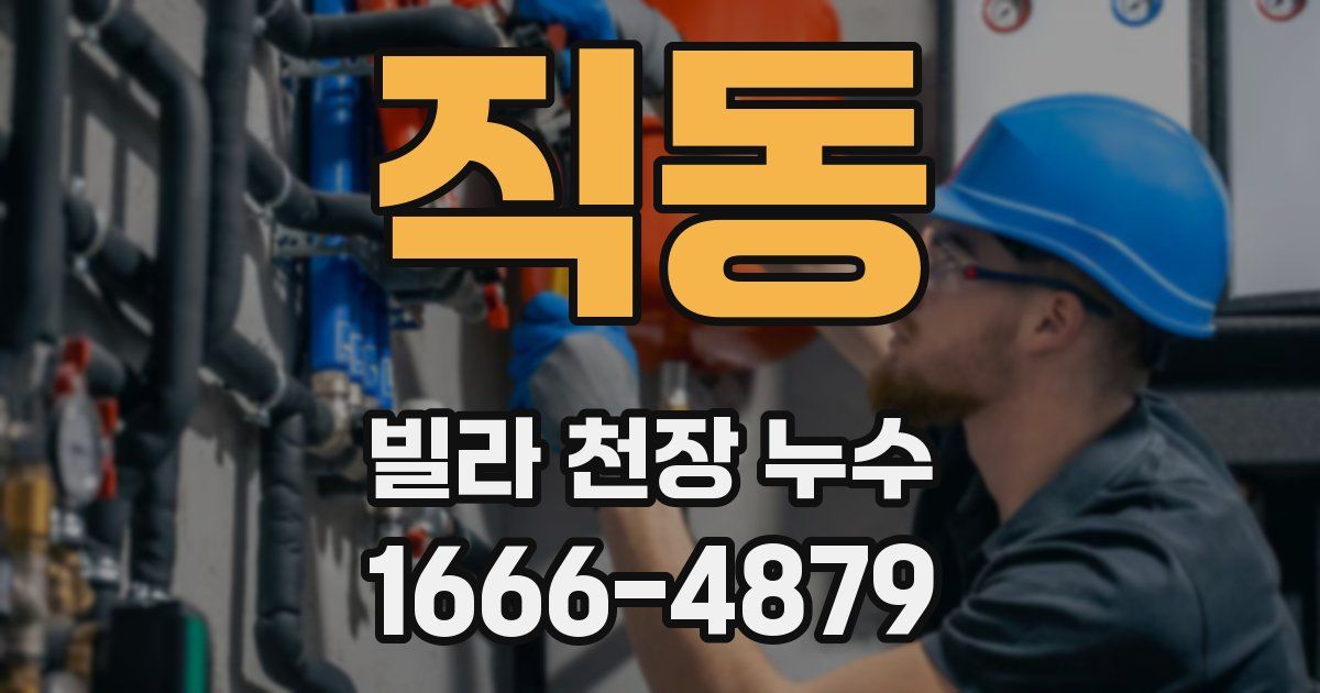 직동 빌라 천장 누수