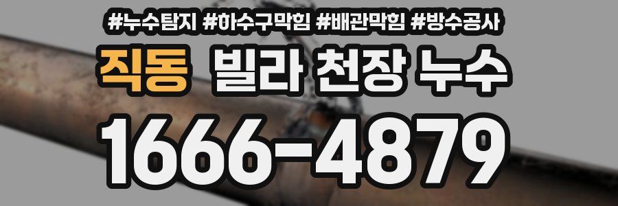 직동 빌라 천장 누수