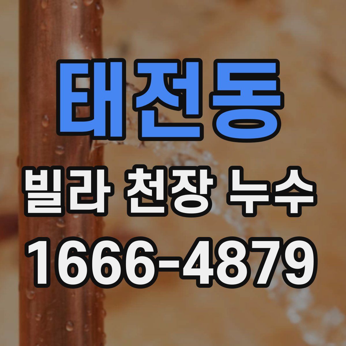 태전동 빌라 천장 누수
