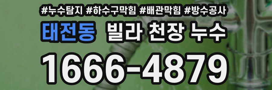 태전동 빌라 천장 누수