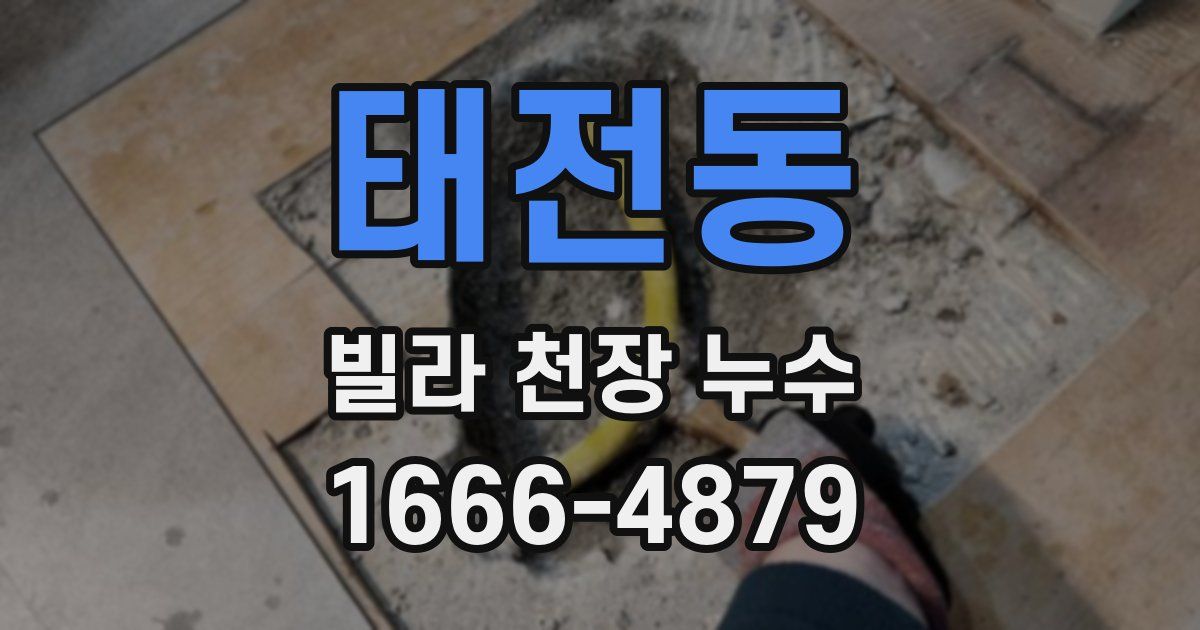 태전동 빌라 천장 누수