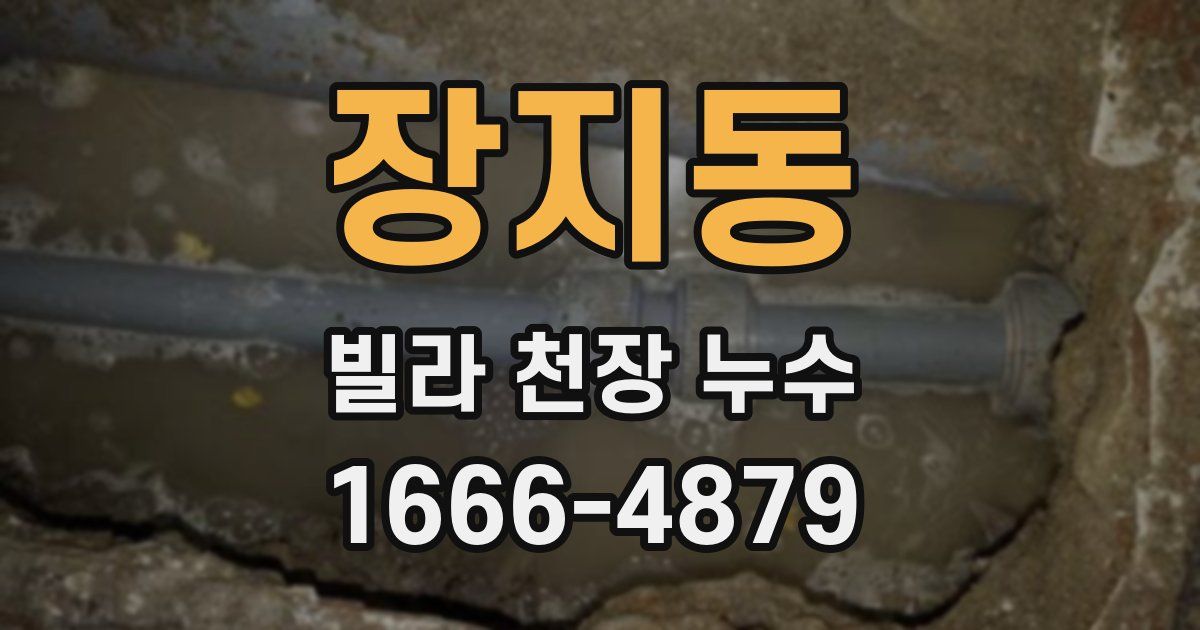장지동 빌라 천장 누수