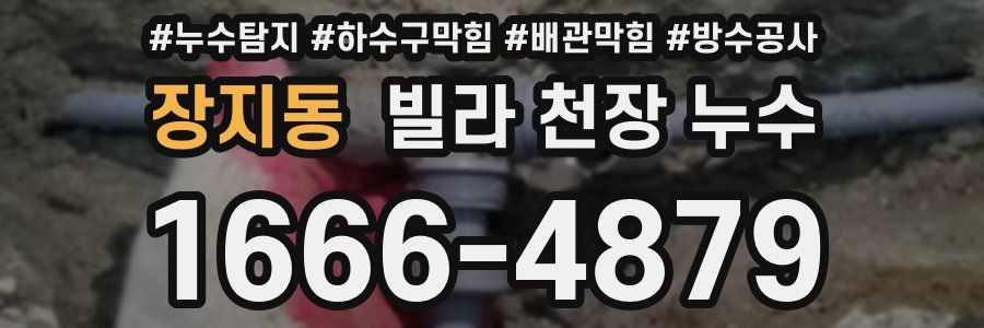 장지동 빌라 천장 누수