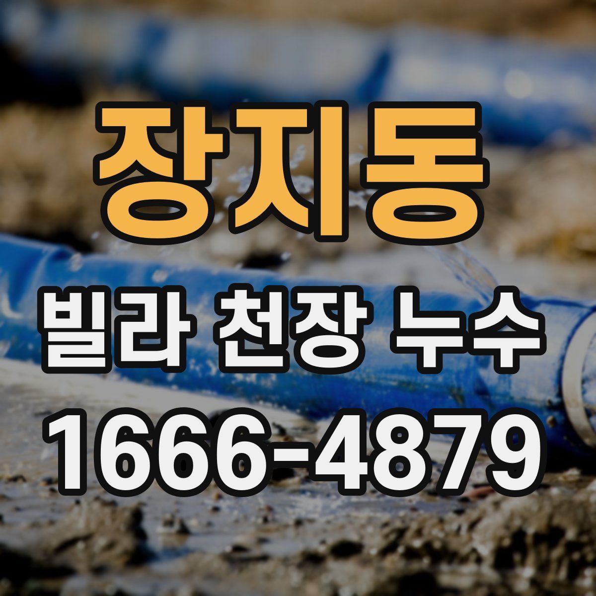 장지동 빌라 천장 누수