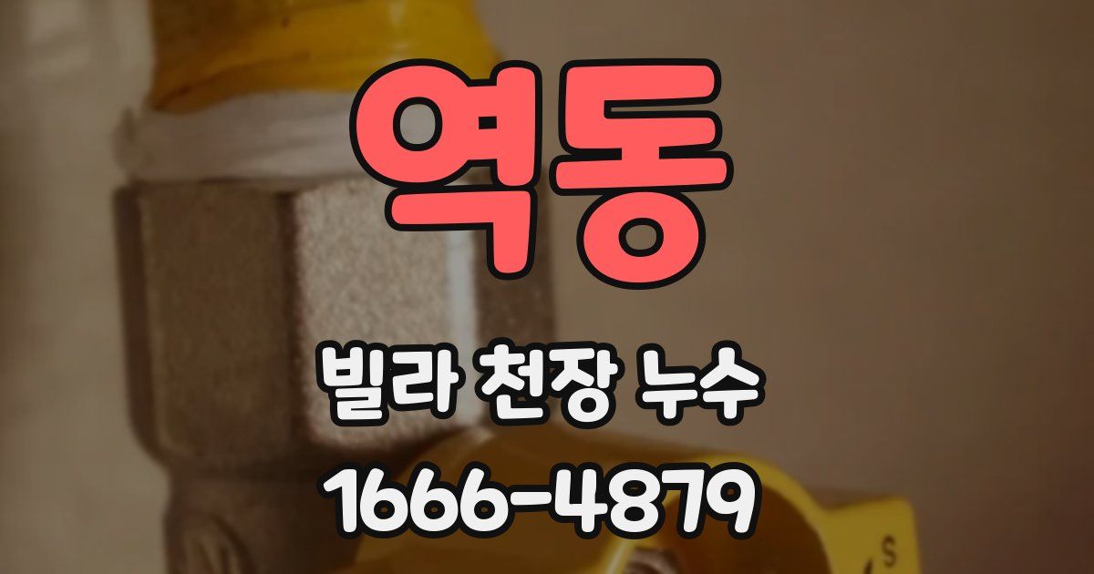 역동 빌라 천장 누수