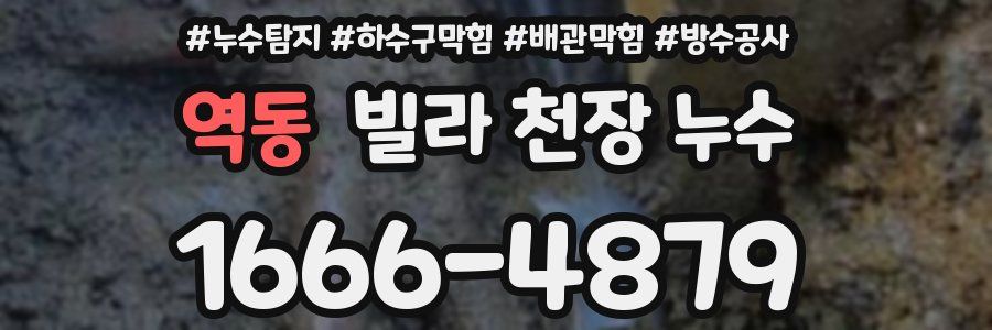 역동 빌라 천장 누수